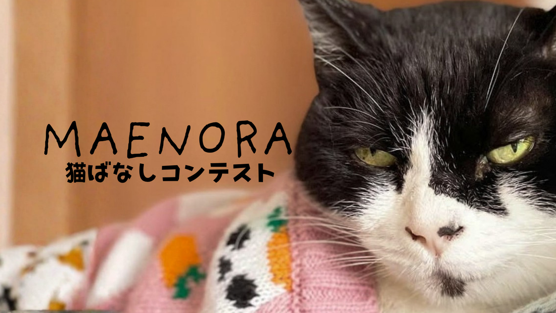 【室長日記】第1回「猫ばなし」コンテスト開催！