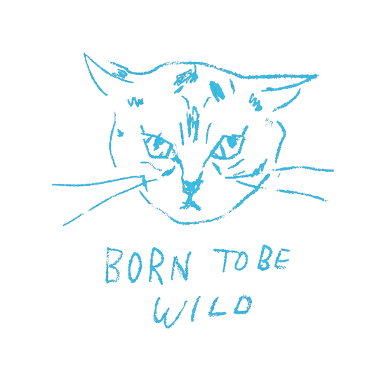 猫イラストTシャツ｜野生味が止まらない