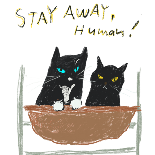 猫イラストTシャツ｜キョロピー仲良しハンモック