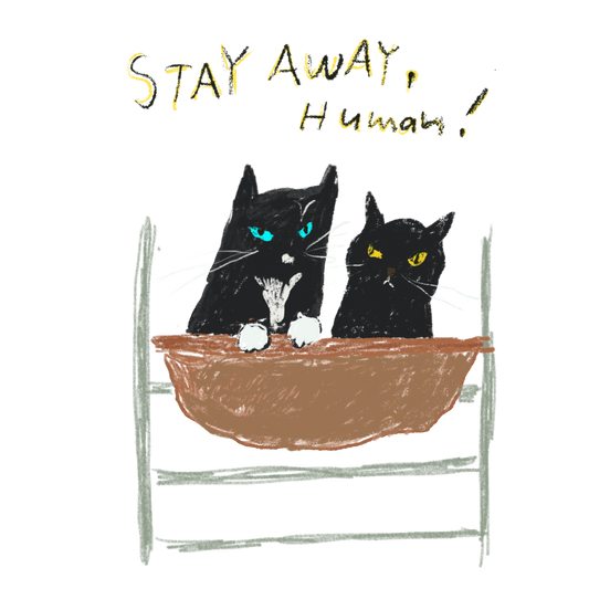 Cat T-Shirt | Kyoro & Peanuts, Hammock Sisters